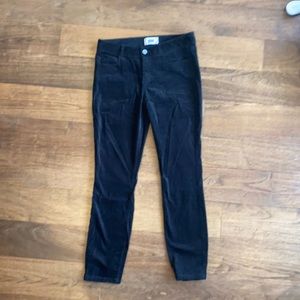NWOT Paige black velvet like pants size 28, never worn, skinny cut